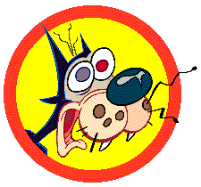Krazy Kat!!!